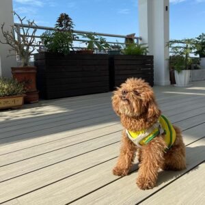 Superior Co-extrusion Decking 3