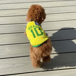 Superior Co-extrusion Decking 4