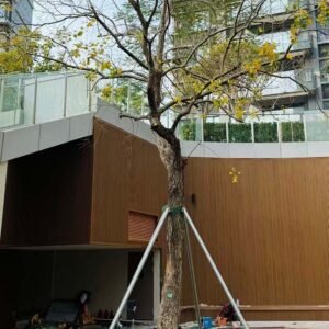 Superior Co-extrusion Fluted Cladding 3