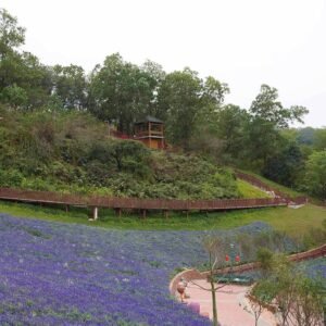rosewood wpc railing along public park pathway with long continuous guardrail